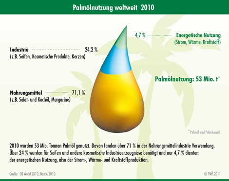Palmölnutzung weltweit im Jahr 2010, Quelle: FNR